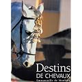 Destins de chevaux