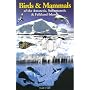 Birds & Mammals of the Antarctic, Subantarctic & Falkland Islands