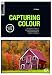 Basics Photography: Capturing Colour