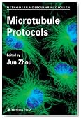 Microtubule Protocols (Methods in Molecular Medicine)