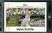 2007 Topps Opening Day #39 Jack Wilson Pittsburgh Pirates - Mint Condition - Shipped in Protective Display Case !