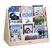 Double Sided Book Browser