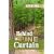 Behind the Pine Curtain