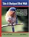 Take a Backyard Bird Walk (Take a Walk series)