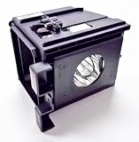 Samsung BP96-00826A Replacement Lamp for Samsung LCD TV