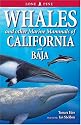 Whales and Other Marine Mammals of California and Baja