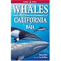 Whales and Other Marine Mammals of California and Baja