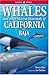 Whales and Other Marine Mammals of California and Baja