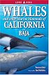 Whales and Other Marine Mammals of California and Baja