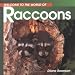 Search : Welcome to the World of Raccoons (Welcome to the World Series)