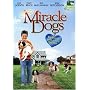 Miracle Dogs