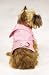 Royalty Jacket Pink **Large**