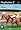 Gallop Racer 2 (PS2)