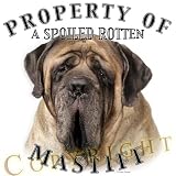 Mastiff Property Of Adult T Shirt