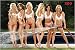 Posters: Pretty Girls Poster - Zoo, Hose (36 x 24 inches)