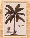 Palm Tree Tropical Island Ocean Art Poster Print - 16 X 20