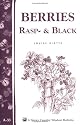 Berries, Rasp- & Black