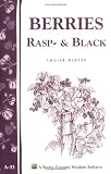 a.33 Berries, Rasp & Black