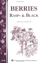 Berries, Rasp- & Black