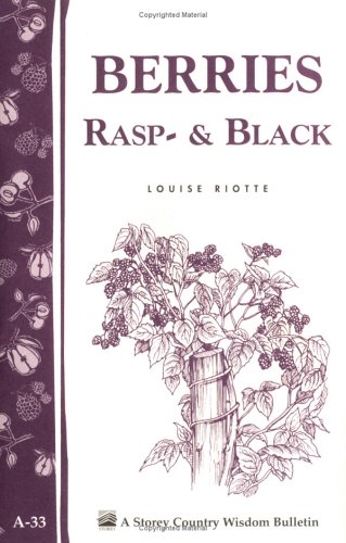 a.33 Berries, Rasp  Black - 