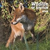 Wildlife of Britain Photo Wall Cale 2009