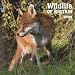 Wildlife of Britain Photo Wall Cale 2009