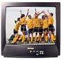 Sharp 19NM100 19" TV