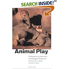 Animal Play: Evolutionary, Comparative and Ecological Perspectives