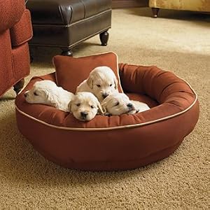 Chew-resistant Cordura Pet Bed - Goldenrod, Extra Large - Frontgate Dog Bed