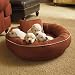 Chew-resistant Cordura Pet Bed - Citrus, Small - Frontgate Dog Bed