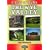 A Year of Walks: The Wye Valley (Year of walks series)