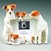 Jack Russell 4"x6" Picture Frame