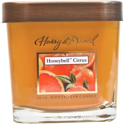 Harry and David 16-Ounce Jar Candle, Large, Honeybell Citrus