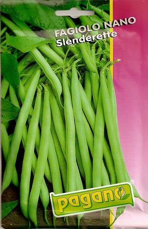 Dwarf green bean recipes