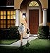 Ecandy Solar Powered Motion Sensor Outdoor LED Light