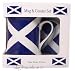 SCOTLAND/SCOTTISH China Mug & coaster BOXED saltire