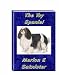 The Toy Spaniels