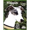 Whippets - A Complete Pet Owner's Manual - Everything About Purchase, Care, Nutrition, Behavior, Training, and Exercising