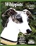 Whippets: Everything about Purchase, Care, Nutrition, Behavior, Training, and Exercising (Complete Pet Owner's Manual)
