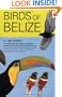 Birds of Belize (Corrie Herring Hooks Series)