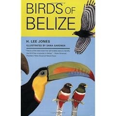 Birds of Belize