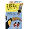 Birds of Belize (Corrie Herring Hooks Series)