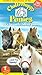 Further Adventures Of The Chatterhappy Ponies