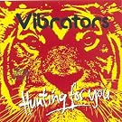 Hunting for You