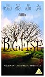Big Fish [UK IMPORT] - Ewan McGregor