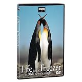 Life in the Freezer