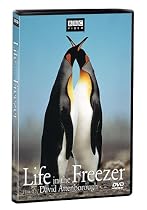 Life in the Freezer