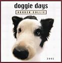 Doggie Days: Border Collie 2005 Calendar