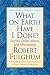 What on Earth Have I Done?: Stories, Observations, and Affirmations