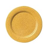 Pfaltzgraff Nuance of Gold Dinner Plate